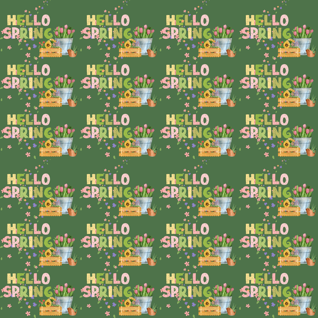 Hello Spring