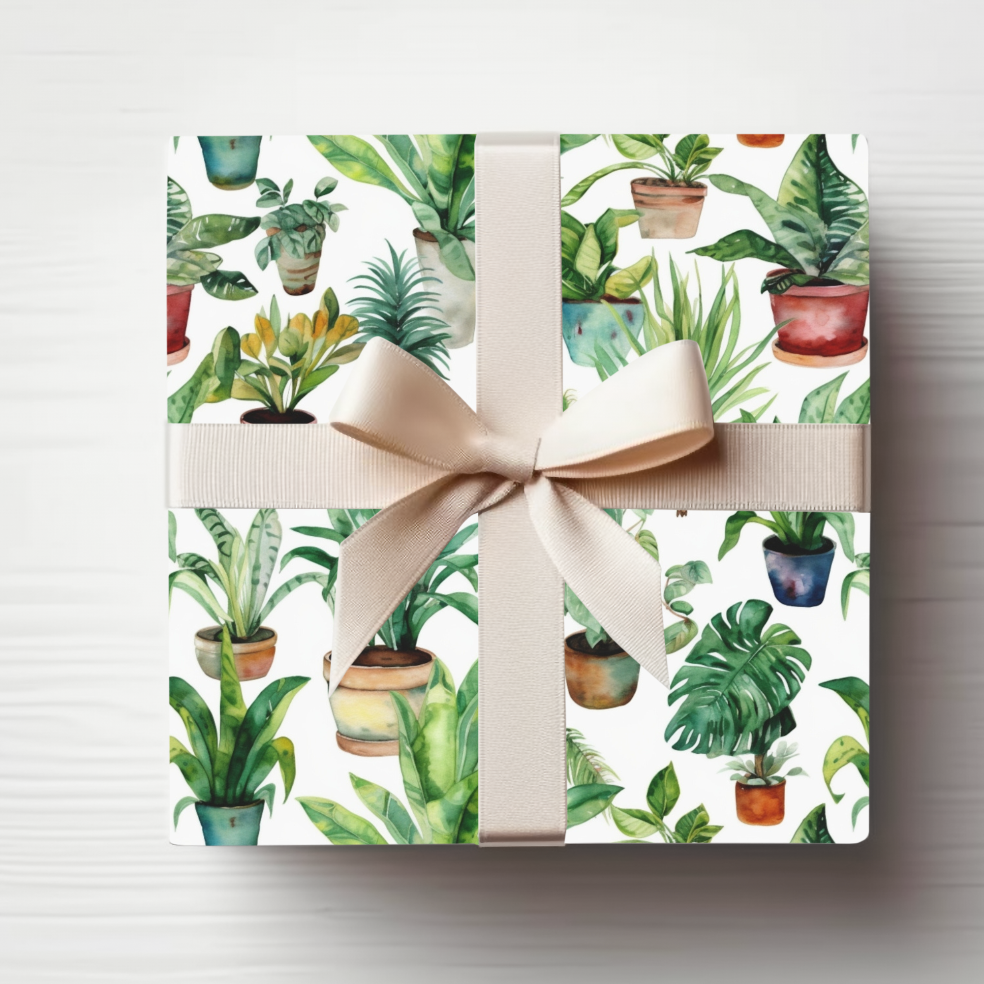 Plant Obsessed Pots