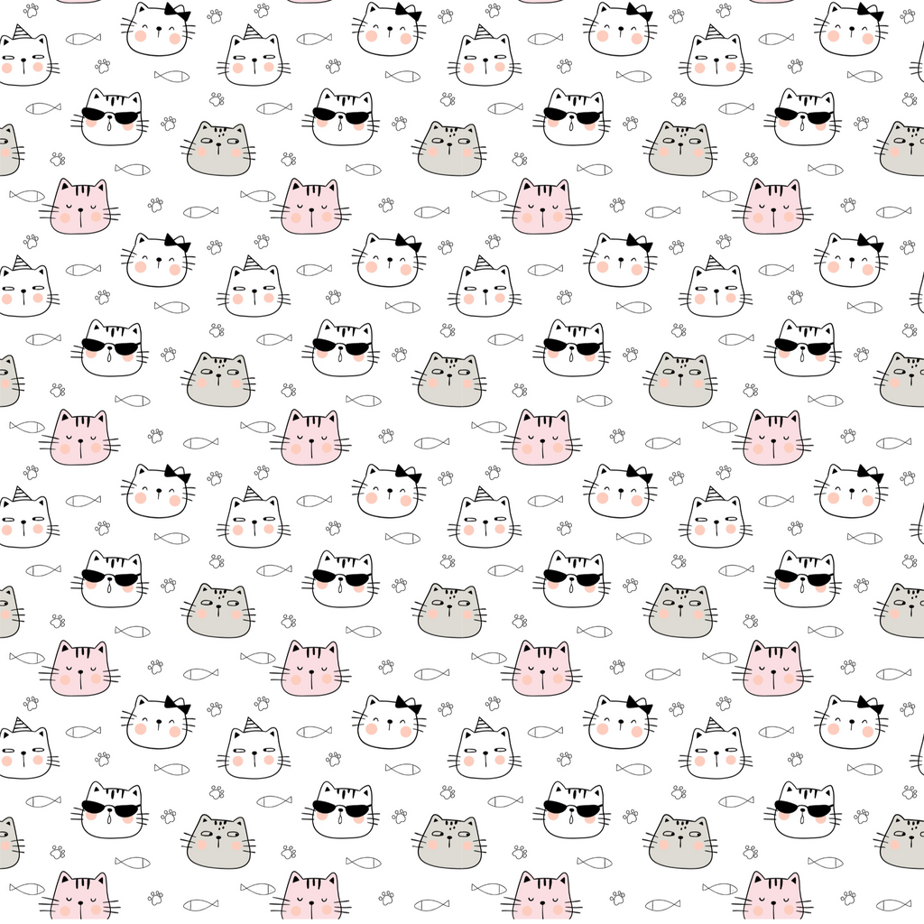 Cool Kitty
