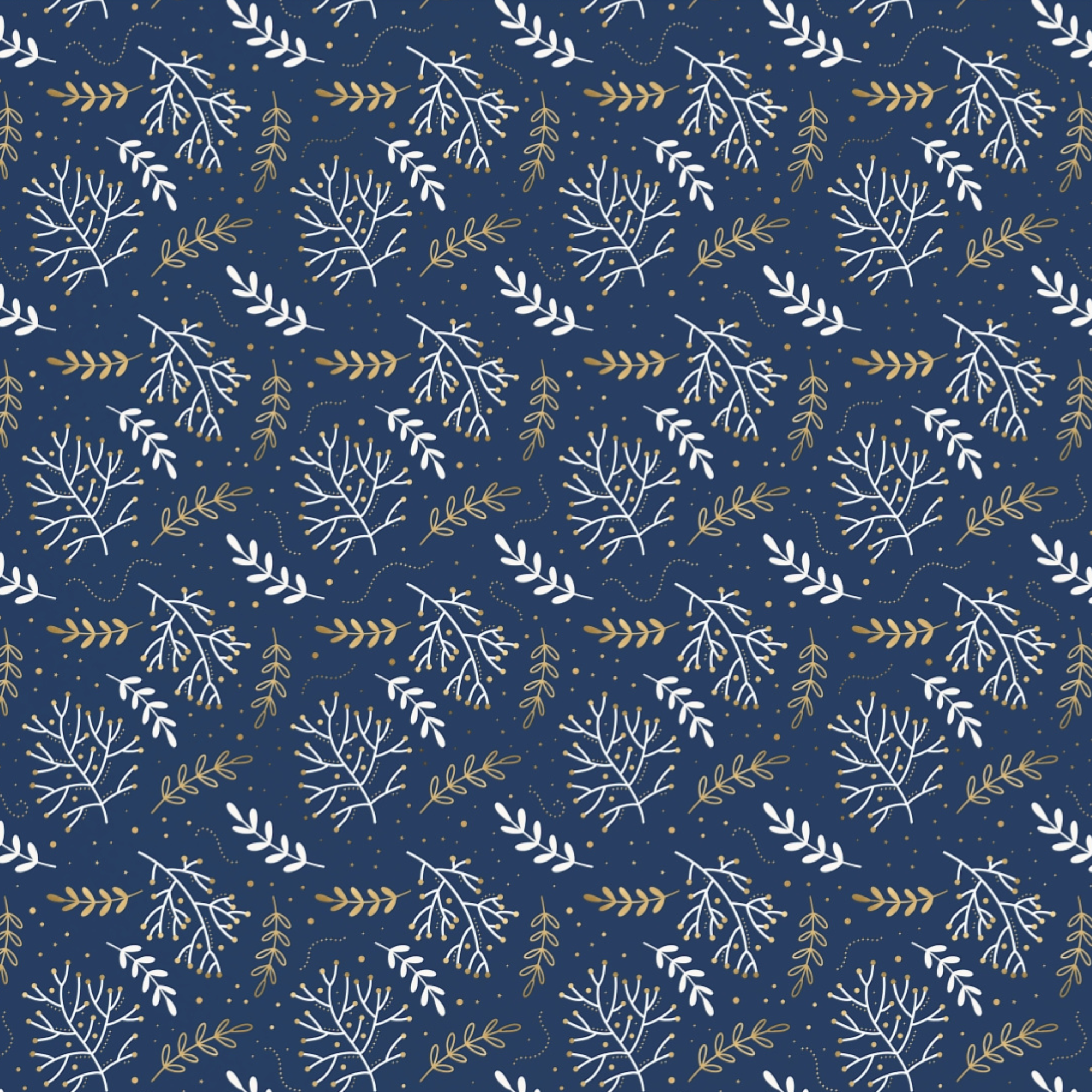 Navy Winter