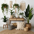 DIGITAL BUNDLE- Backgrounds-Boho